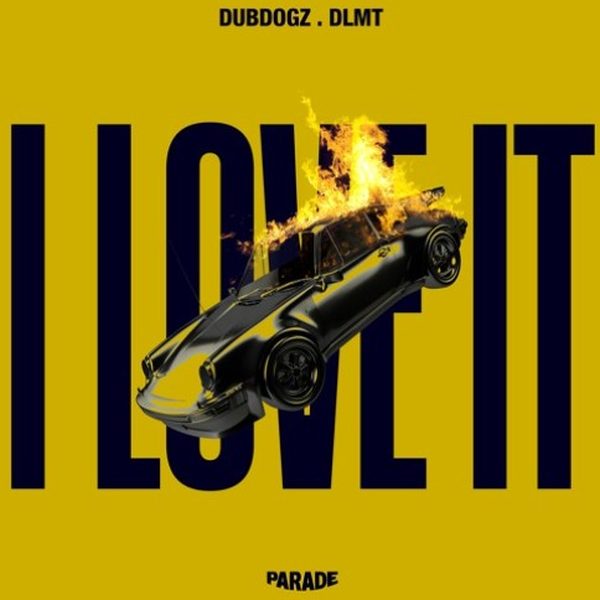 Dubdogz & DLMT — I Love It (I Don't Care)