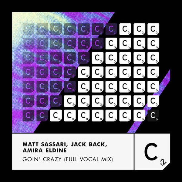 David Guetta, Matt Sassari, Jack Back, Amira Eldine — Goin' Crazy