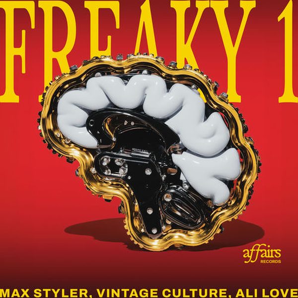 Max Styler, Vintage Culture, Ali Love — Freaky 1