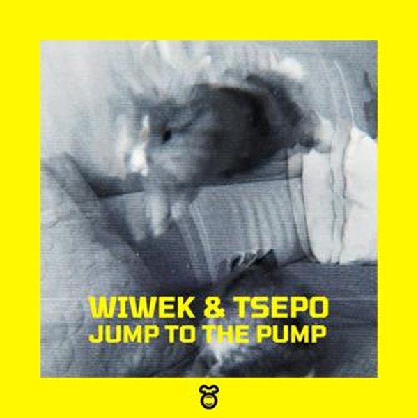 Wiwek, Tsepo — Jump To The Pump