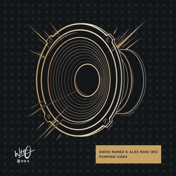 Dario Núnez & Álex Now (ES) — Pumping Vibes