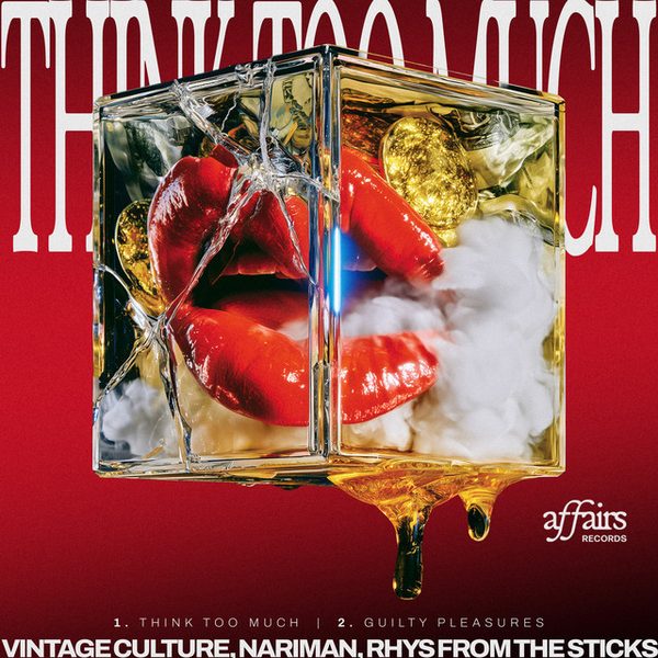 Vintage Culture — Guilty Pleasures