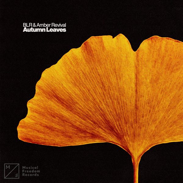 BLR, Amber Revival — Autumn Leaves