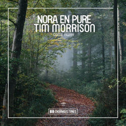 Nora En Pure feat. Tim Morrison — Come Away