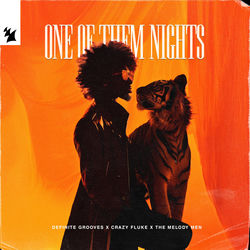 Definite Grooves x Crazy Fluke x The Melody Men — One Of Them Nights
