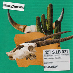 CASHEW — Mahoya