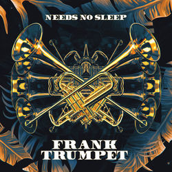 Needs No Sleep — Frank Trumpet