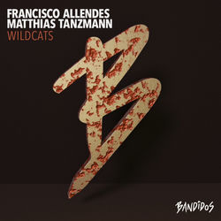 Matthias Tanzmann, Francisco Allendes — Wildcats
