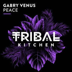 Gabry Venus — Peace (CASSIMM Extended Remix)
