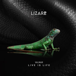 VALMAR — Live Is Life