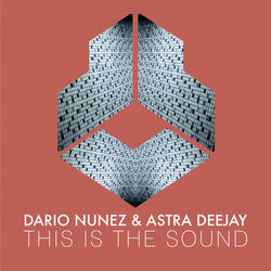 Dario Nunez & Astra Deejay — This Is The Sound
