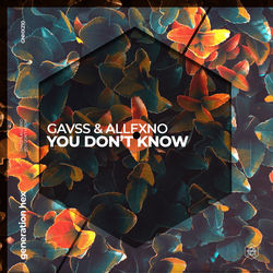 Gavss & Allexno — You don't know