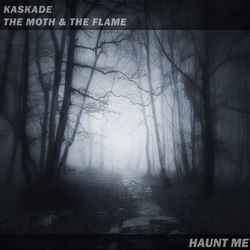 Kaskade & The Moth & The Flame — Haunt Me