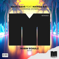 Wave Wave — Coming Down - Robin Schulz Remix