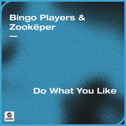 Bingo Players & Zookëper — Do What You Like