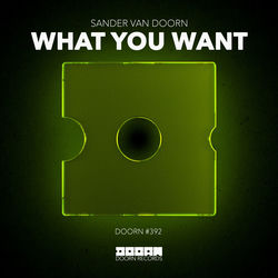 Sander van Doorn — What You Want