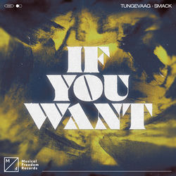 Tungevaag x SMACK — If You Want (Extended Mix)