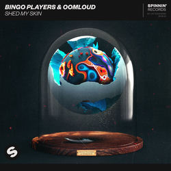 Bingo Players & Oomloud — Shed My Skin