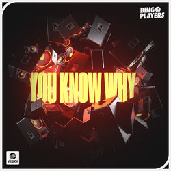 Bingo Players — You Know Why