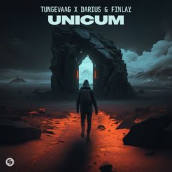 Tungevaag x Darius & Finlay — Unicum