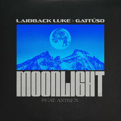 Laidback Luke x GATTÜSO — Moonlight