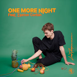 Lost Frequencies feat. Easton Corbin — One More Night (Extended Mix)