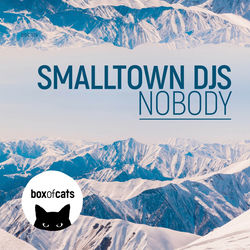 Smalltown DJs — Nobody