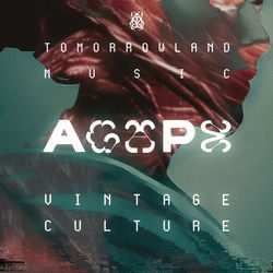 Vintage Culture — Agape