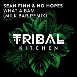 Sean Finn & No Hopes — What A Bam