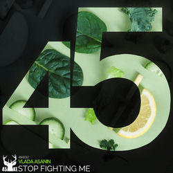 Vlada Asanin — Stop Fighting Me (Original Mix)
