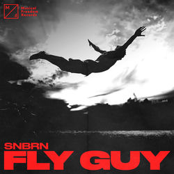 SNBRN — Fly Guy