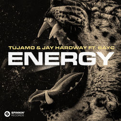 Tujamo x Jay Hardway — Energy