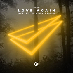 Alok & VIZE — Love Again (feat. Alida)