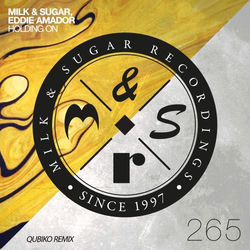Milk & Sugar, Eddie Amador, CASSIMM — Holding On (Cassimm Remix)