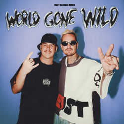 Robin Schulz & CYRIL — World Gone Wild (MARTEN HØRGER Rmx)