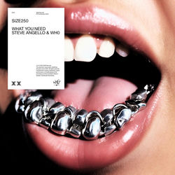 Steve Angello & Wh0 — What You Need