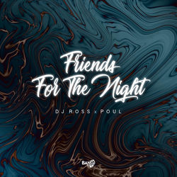DJ ROSS, POUL — Friends For The Night
