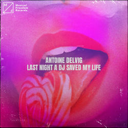 Antoine Delvig — Last Night A DJ Saved My Life