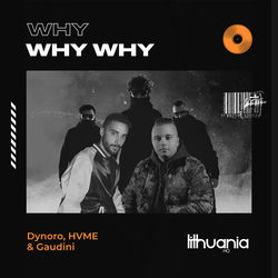 Dynoro,Hvme,Gaudini — Why why why