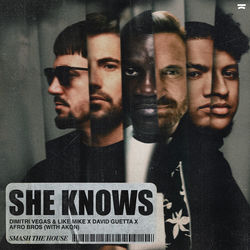 Dimitri Vegas & Like Mike, David Guetta, Afro Bros — She Knows (with Akon)