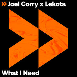 Joel Corry x Lekota — What I Need