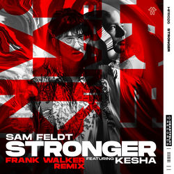 Sam Feldt — Stronger