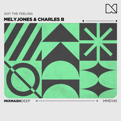 Charles B, MelyJones — Got The Feeling