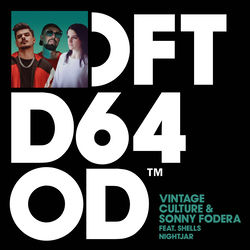 Vintage Culture & Sonny Fodera — Nightjar