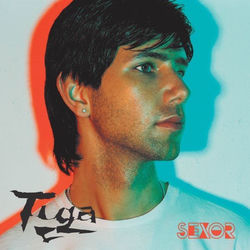 Tiga VS Meduza — You Gonna Want Me