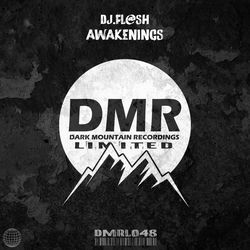 Dj.fl@sh — Awakenings