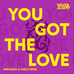 Never Sleeps ft. AfroJack & Chico Rose — You Got The Love