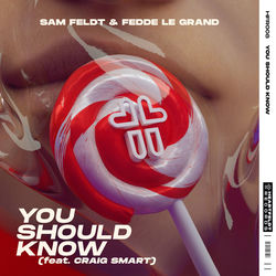 Sam Feldt & Fedde Le Grand — You Should Know