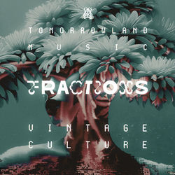 Vintage Culture — Fractions