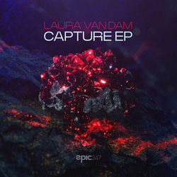 Laura van Dam — Insomnia
